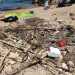 E se a ci si aggiunge la perenne assenza di bidoni della spazzatura sulle spiagge libere, si comprende come spesso sul litorale si crei un vero e proprio immondezzaio